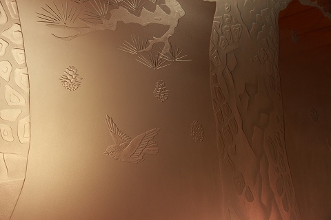 Img_31bfefa0579576ed27e1cfb97c25751c