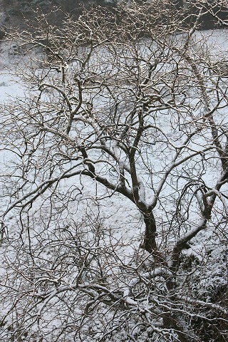 Img_11caaa4806095286e86c865b514eb755