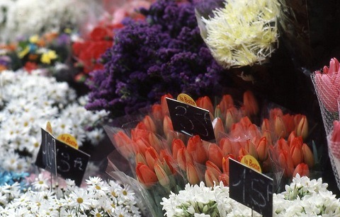 Img_13d0c7a4936c7e6f4fc5d1663d3fb248