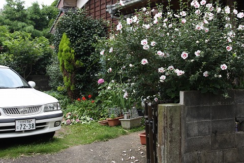 Img_3d8b77fdb19ac49ab57ff355a3ae67a3