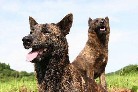 Img_4012c36fe946a847ec410b5dc36a543a