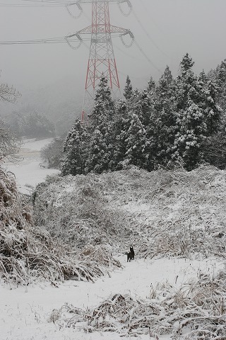 Img_4161db6c0c5e4244f4b7543dfac8bf9b