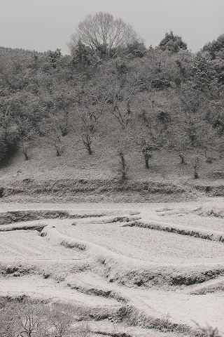 Img_4d0bbaf98aaeab0a5d40651dcb3e0f58