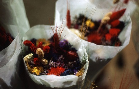 Img_7bfb2f7c9a9427264177f74a7c639861