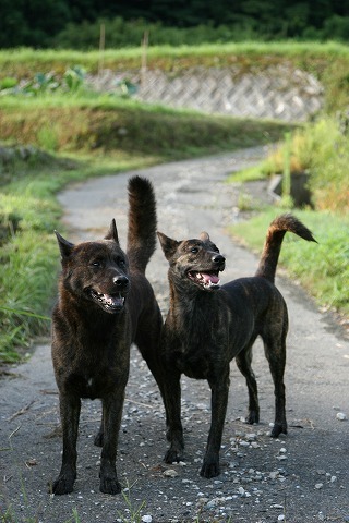 Img_7cb5924238cc4dafea267388e611f61d