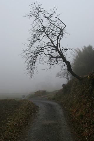 Img_7f5956b0785f4eec7a6b646fc4bd0679