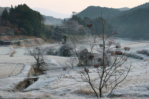 Img_93d42a44bf35e12e6d2bfab7b79dd450