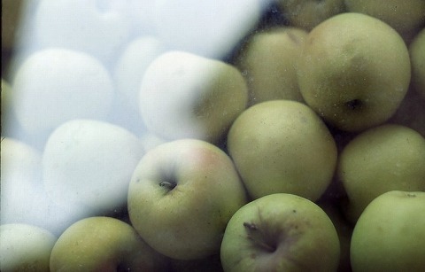 Img_9cfd7f10c2432b5b08f9b2a909228b9c