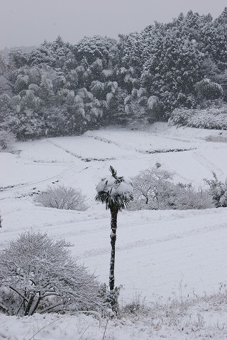 Img_b2278593282e42c35169dc3d785a74b0