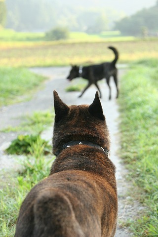 Img_b36697c47f03c57e0227acc930a3398a