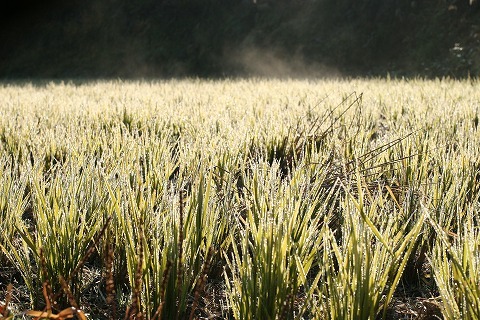 Img_b6263bcccd8b3959426dad81118d4933