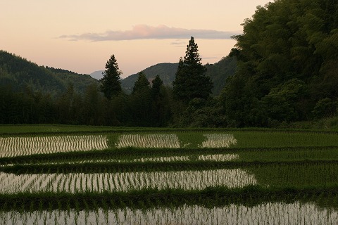 Img_d45598d77763707247674ba383ab04d7