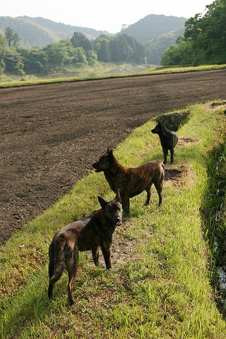 Img_e7442d7cd8731faa4acee4bda3ef4d8f