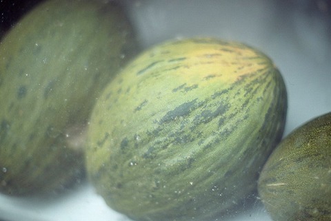 Img_f7601846a36618a0bb27a9a8996d609e