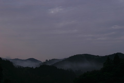 Img_f99596e3baae83e710617bfb9a5c6a5b