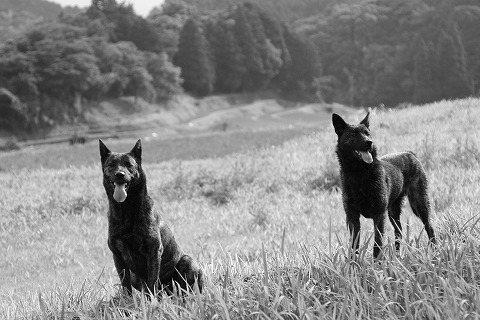 Img_fdde54084138f822cf15f4b5eade6170