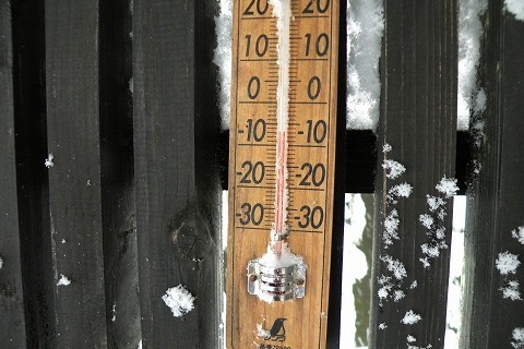 Img_0d6b9af1b296ceda45b3ad2a799a91b3