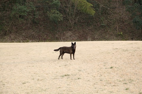 Img_0e77688e9343cba980bce2abf3969211