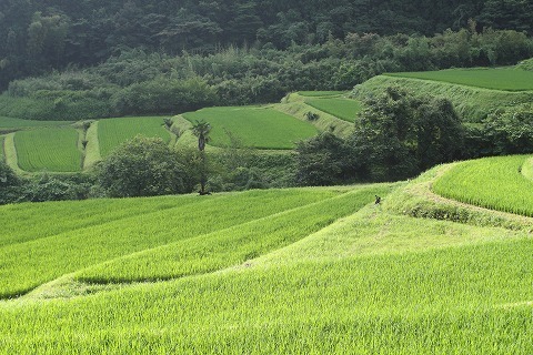 Img_1593616c7763bd1457014a187b1980fa