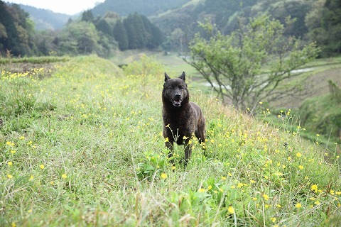 Img_259452f744efb68d4867179c2dc34c88