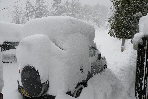 Img_29f90ddc63d6a26a97c80d30f6dcaf9a