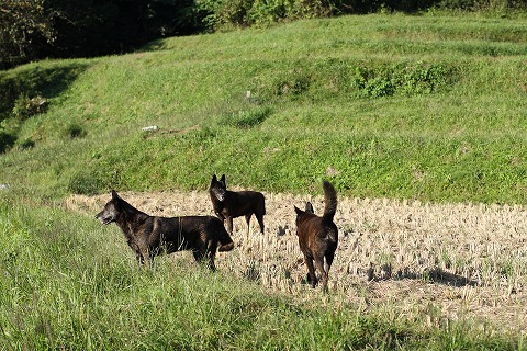 Img_2f1090a326cee4d7372e4cec094f3931