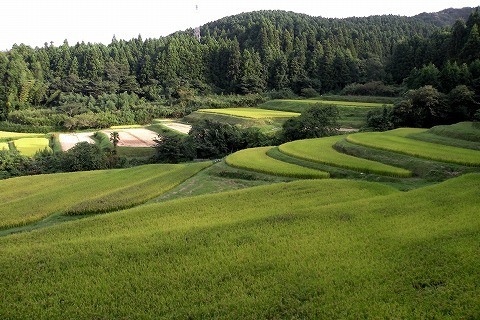 Img_3468f46242d3be479592ad4a4b8a87c5