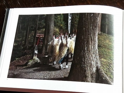 Img_3591fa9febad552c94cebe99f779c03e