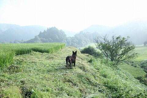 Img_3e3d9e93ac2184276b971b636d08ee02