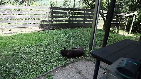 Img_41cd8d59d34dc0356a93c511f4aa5ca9