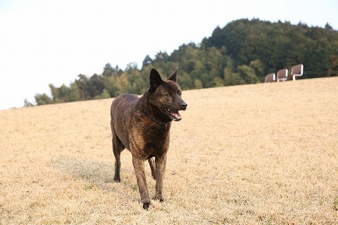 Img_42ef72a832d762a93ab9530d7ce19453