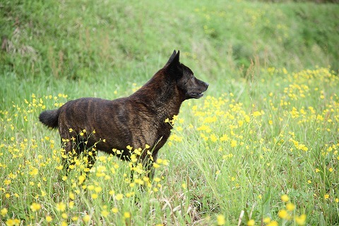 Img_5ce392239b14f698e2997e5467f09309