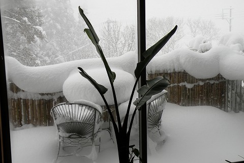 Img_64bc4604667ae71120abb63444003835