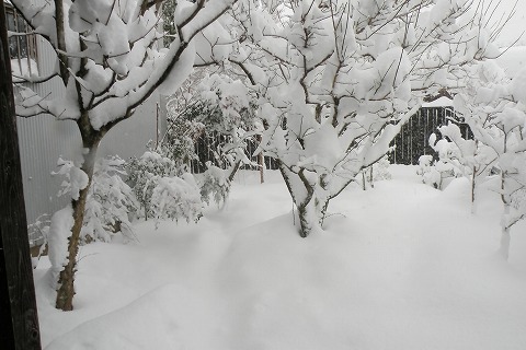 Img_65458de4608809207e5b2dba9dca94d7