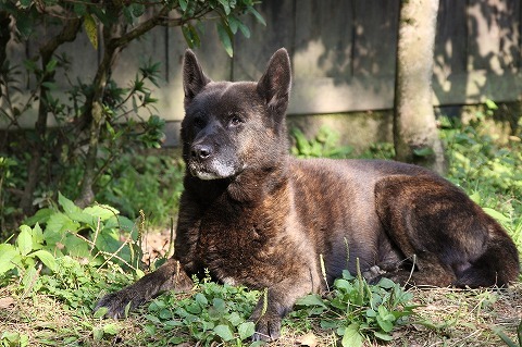 Img_7846a2a5478b404dd03dd95dd9922b29