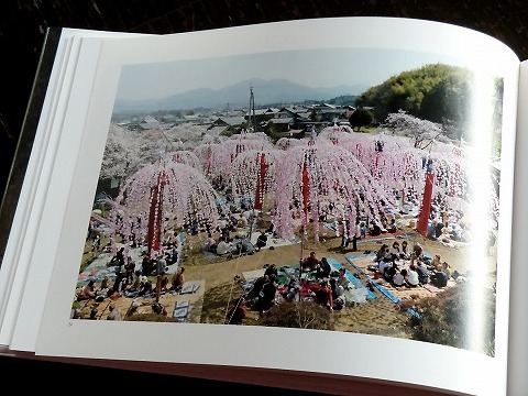 Img_7c3ee68d912246b3e5a12efc16cbe8ca