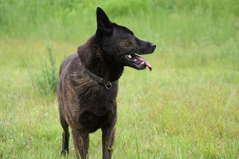 Img_8feb7fe93f3762b3ba18e80d23679238