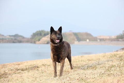 Img_9e8319a8372cf3b08ba34c1833186ef4