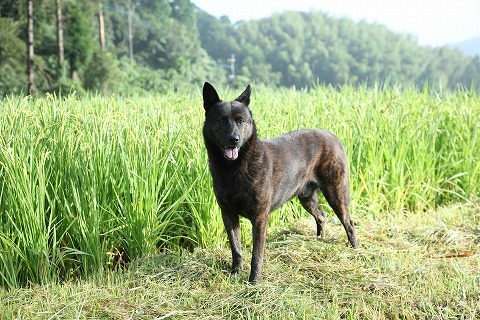 Img_9ebcbed46653df2182359ca94ec9ca5f