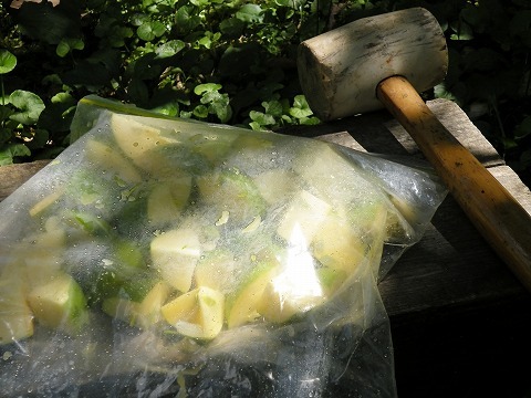 Img_a8fda72cdb988d5133e4cbf722e30d52