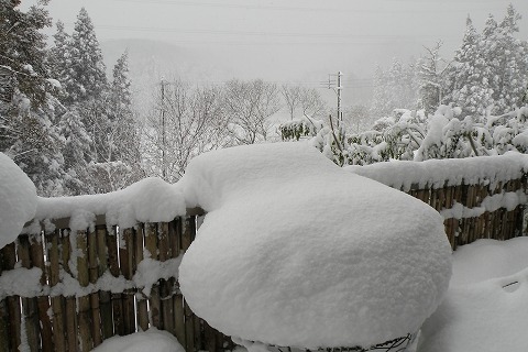 Img_b508f4cdf130f9a5c56e0087e200f948