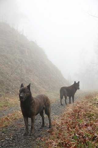 Img_be82dcac23e04fa38c44f43a1672c29a