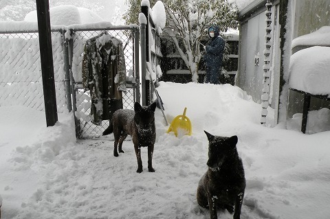 Img_ccfa6a5ad0eecef5df33aa7b6b8c7ecd