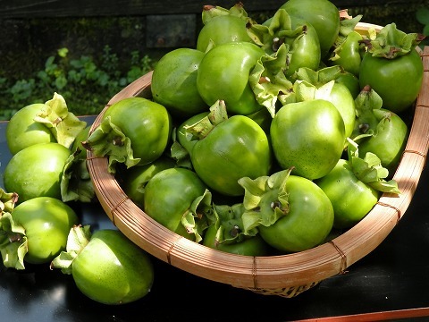 Img_d6492ea2cd39966738b340f2bce7b29e