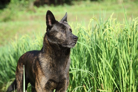 Img_d75f6fa741c727bb9b158e1ea5b0d8e6