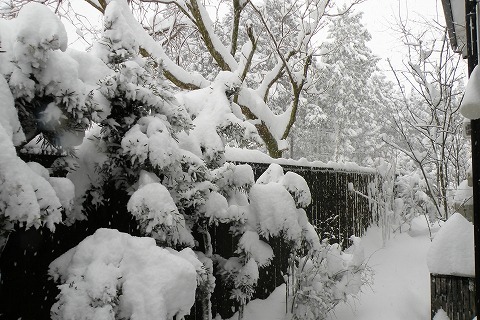 Img_efc681611038e5e0fa17716e75fd1f22