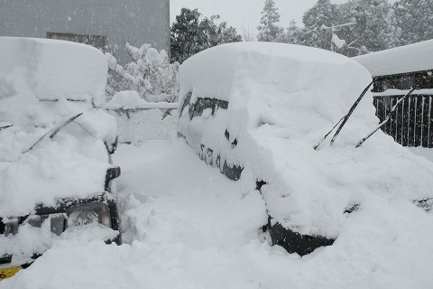 Img_f23beb878b43f1710b70c62464ccb03c