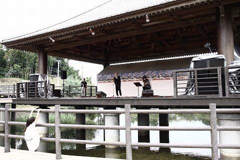 Img_fbf50c0fc2d56ce547e454ea67c1117d